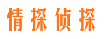 沙河口市侦探调查公司